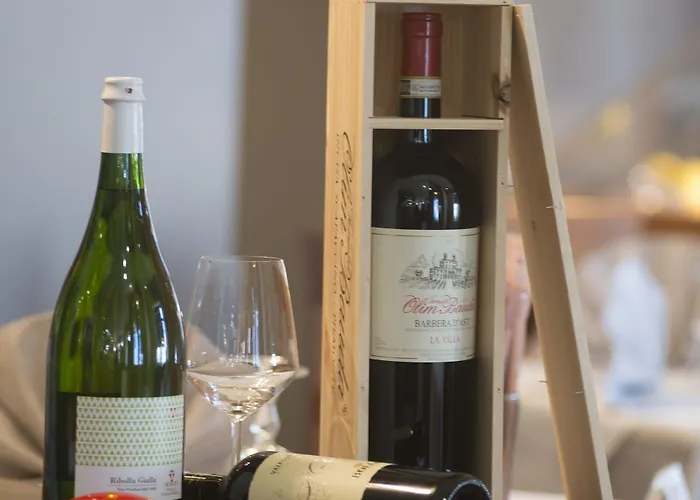 Siriohotel 3* 도멜레토